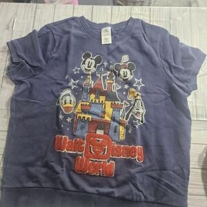 Disney Walt Disney World Sweatshirt Womens Large Blue Graphic Short Sleeve
